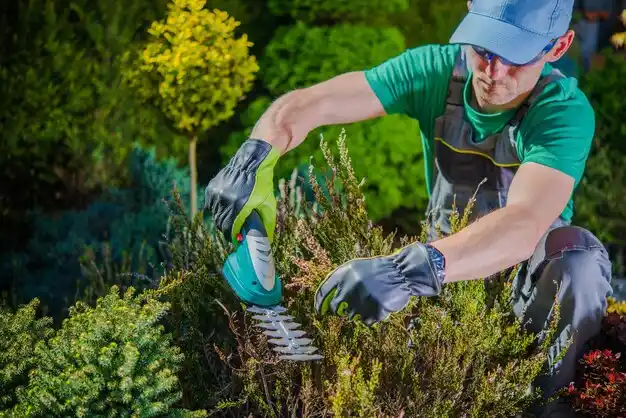 landscaping services Highlandville